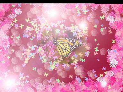 Cupidon, l'espi�gle !